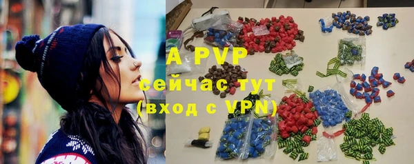 индика Арсеньев