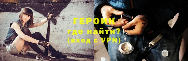 индика Арсеньев