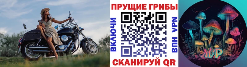 магазин  наркотиков  Арсеньев  Галлюциногенные грибы Cubensis 